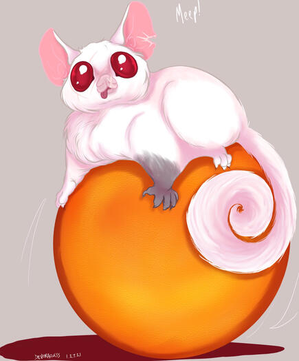 “Sugar Glider”, Original Painting